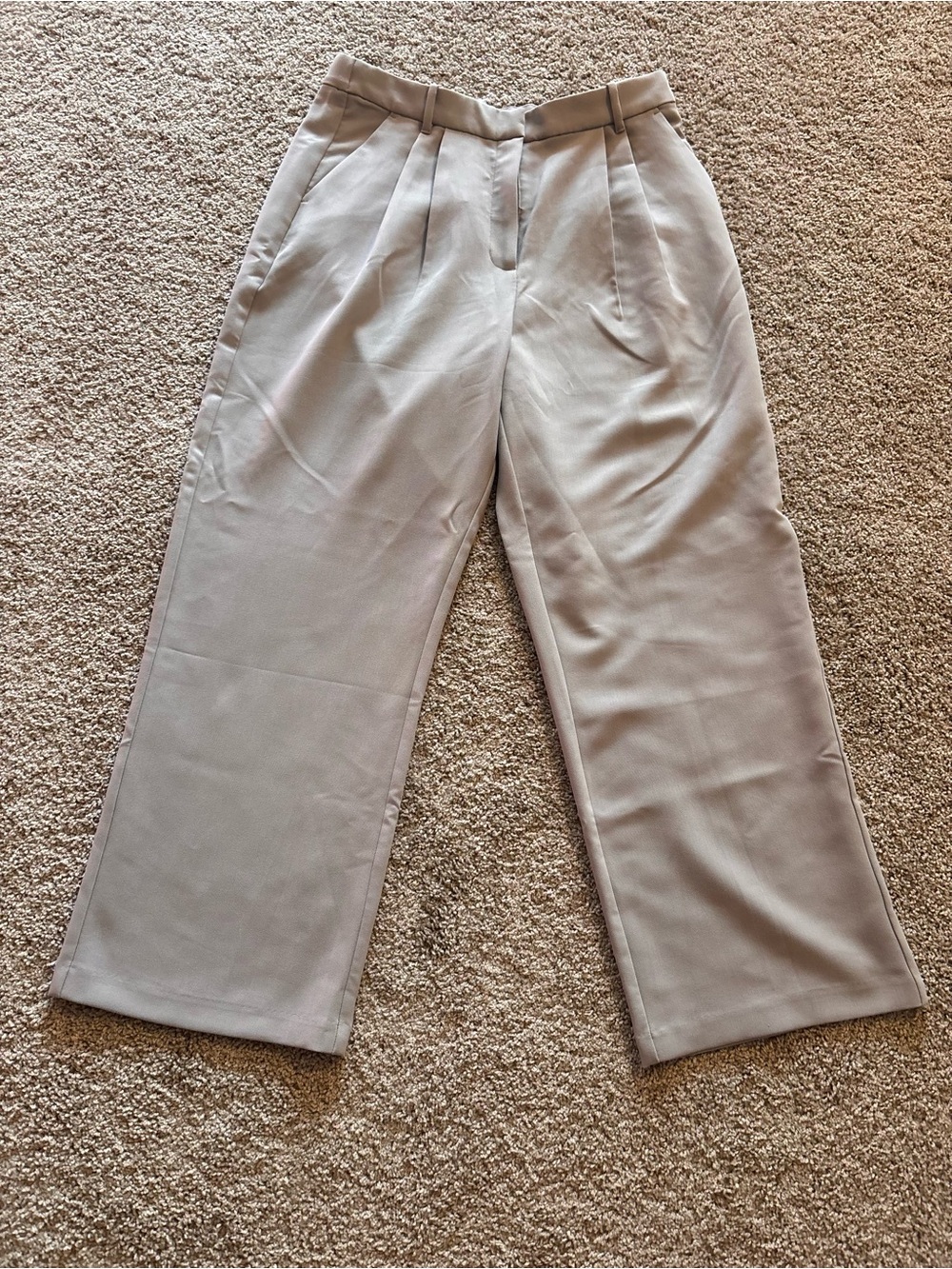 Abercrombie & Fitch NWT Wide Leg Pleated Dress Pants in Light Taupe